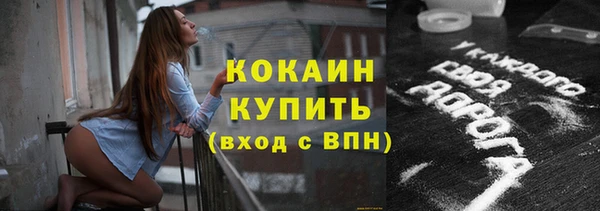 молекула духа Мегион