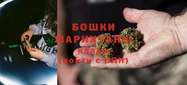 молекула духа Мегион