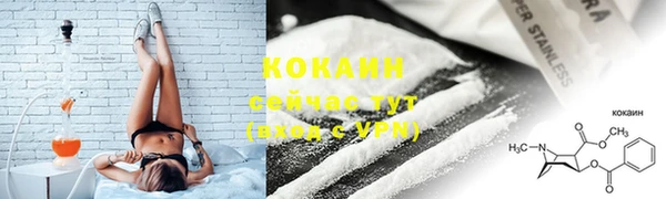 молекула духа Мегион