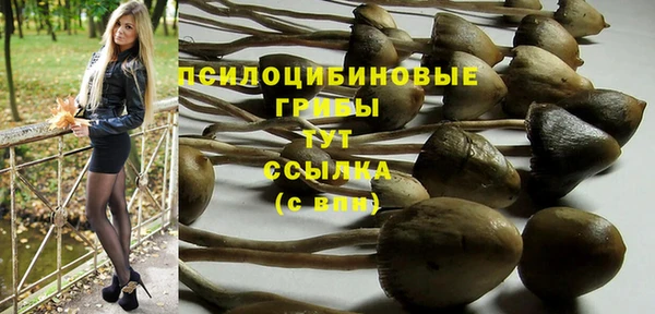 спиды Великий Новгород