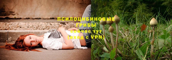 молекула духа Мегион