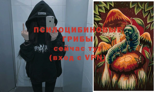 ГАЛЛЮЦИНОГЕННЫЕ ГРИБЫ Медвежьегорск