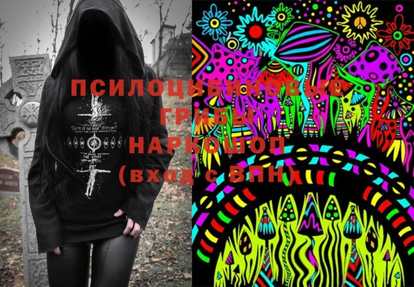 ГАЛЛЮЦИНОГЕННЫЕ ГРИБЫ Медвежьегорск