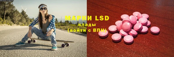ГАЛЛЮЦИНОГЕННЫЕ ГРИБЫ Медвежьегорск