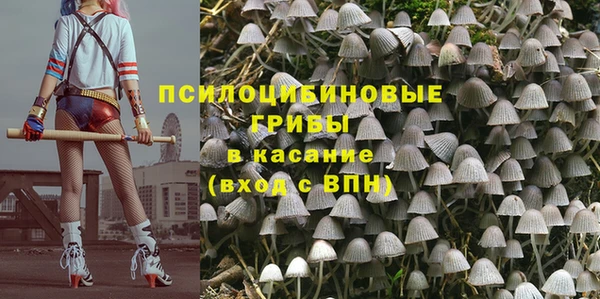 ГАЛЛЮЦИНОГЕННЫЕ ГРИБЫ Медвежьегорск